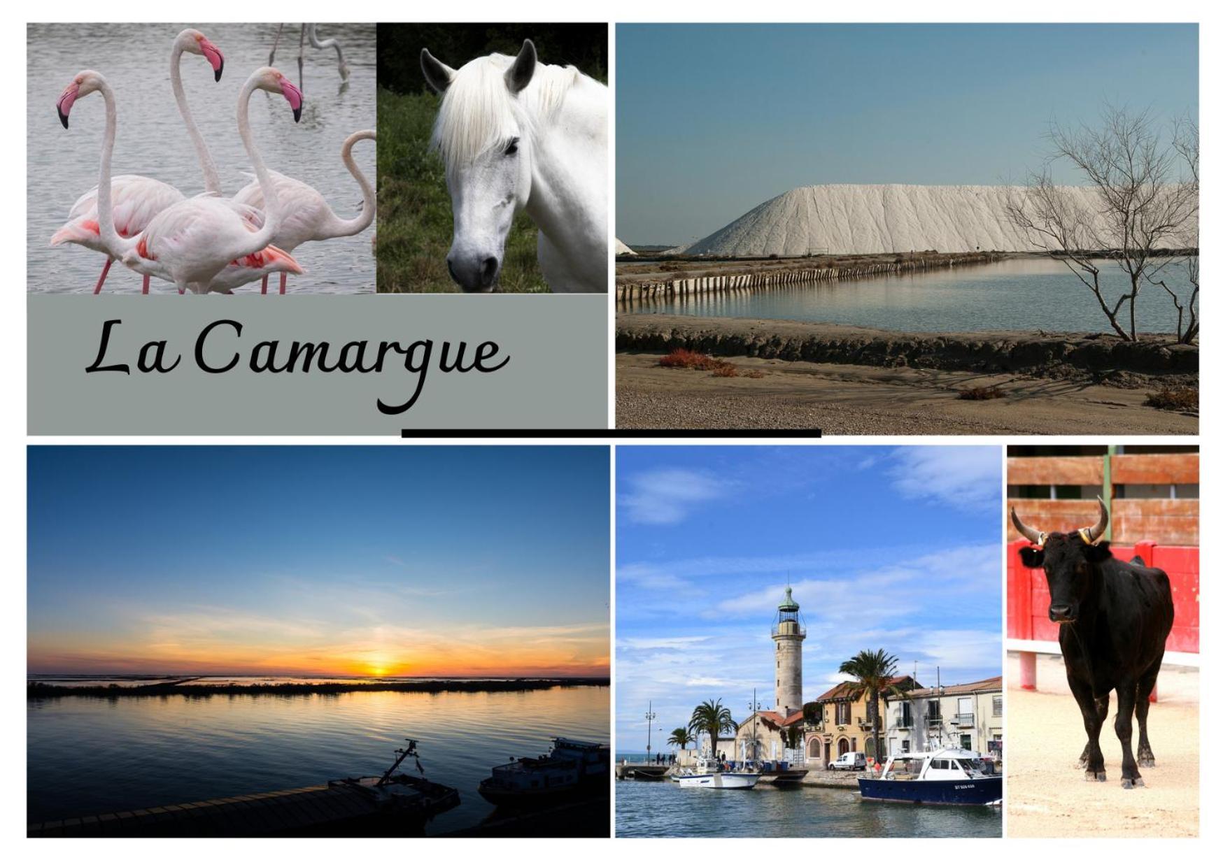 Immeuble 3 Apparts Centre Historique St Gilles Maisoncarreeconciergerie Saint-Gilles  Luaran gambar